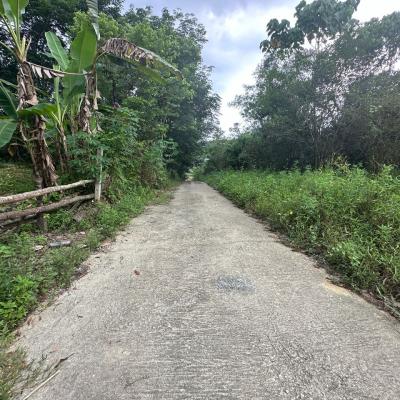 Bungalow lot Lorong Teratai Bukit Rahman Putra for sale-2