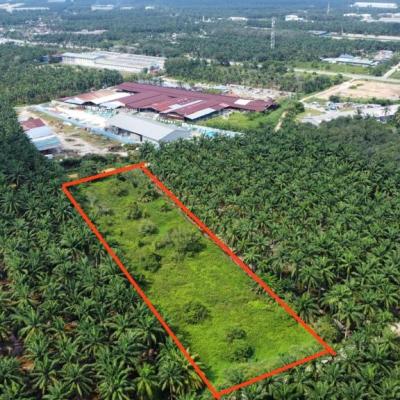 3 Acres Industrial Zoning Land (Non Bumi lot), Ijok for sale