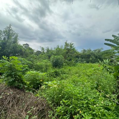 Bungalow lot Lorong Teratai Bukit Rahman Putra for sale-3