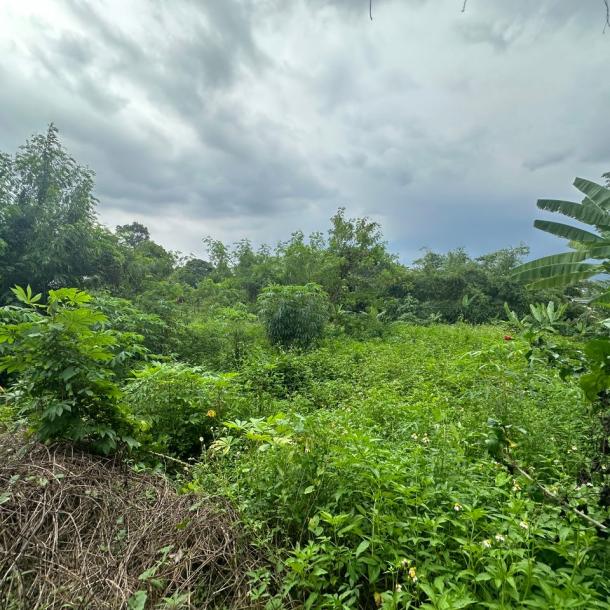 Bungalow lot Lorong Teratai Bukit Rahman Putra for sale-3