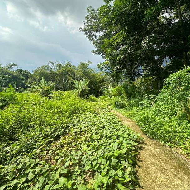 Bungalow lot Lorong Teratai Bukit Rahman Putra for sale-6