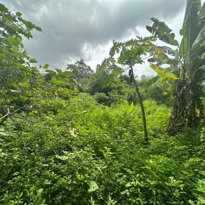 Bungalow lot Lorong Teratai Bukit Rahman Putra for sale-5