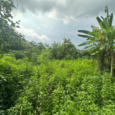 Bungalow lot Lorong Teratai Bukit Rahman Putra for sale-4