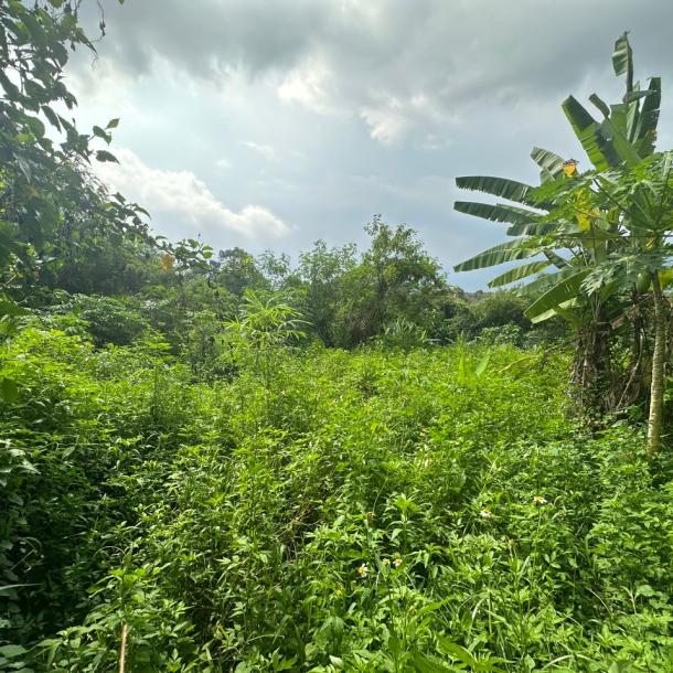 Bungalow lot Lorong Teratai Bukit Rahman Putra for sale-4