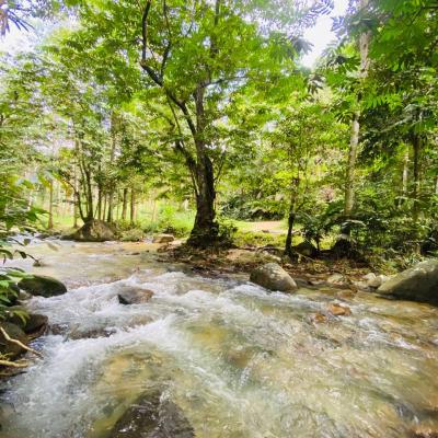 Resort Rimbunan Chalet Sungai Sendat, Ulu Yam, Batang Kali-6