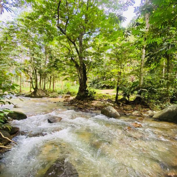 Resort Rimbunan Chalet Sungai Sendat, Ulu Yam, Batang Kali-6