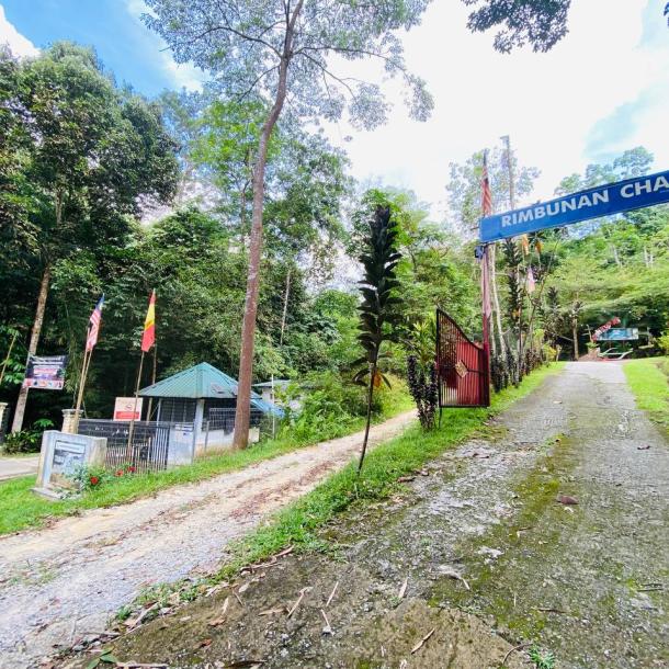 Resort Rimbunan Chalet Sungai Sendat, Ulu Yam, Batang Kali-2