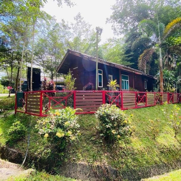 Resort Rimbunan Chalet Sungai Sendat, Ulu Yam, Batang Kali-13