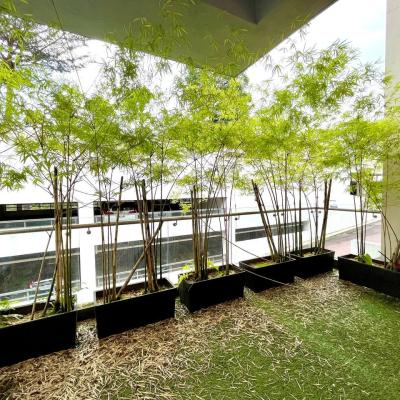 3 Storey Semi-D Villa Saville @ The Park, Bangsar South, Kuala Lumpur-6